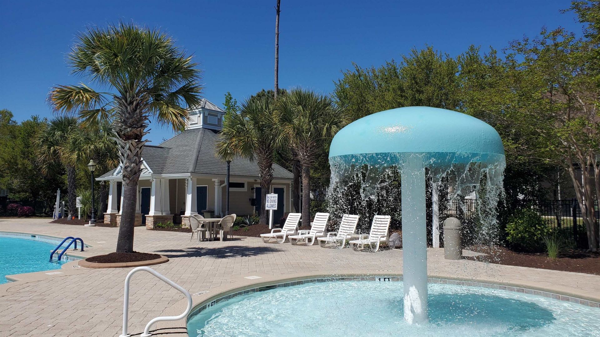 237 Saint Davids Ave. Photo 55