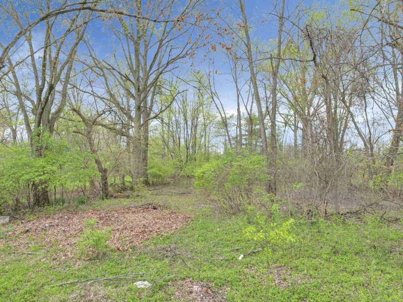 2423 Stelzer Road , Columbus, OH 43219 Photo 6