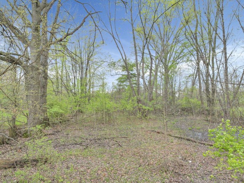 2423 Stelzer Road , Columbus, OH 43219 Photo 7