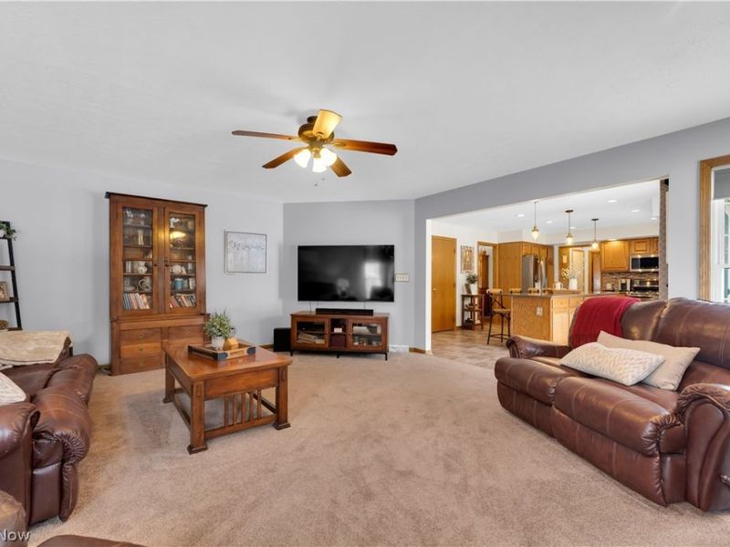 955 Lawrence Street, Medina, OH 44256 Photo 12