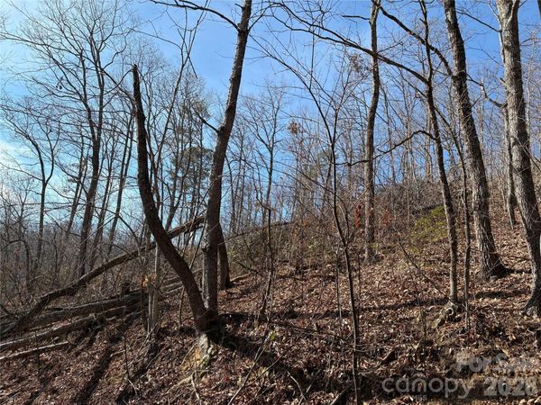 100 Pine Tree Drive , Candler, NC 28715