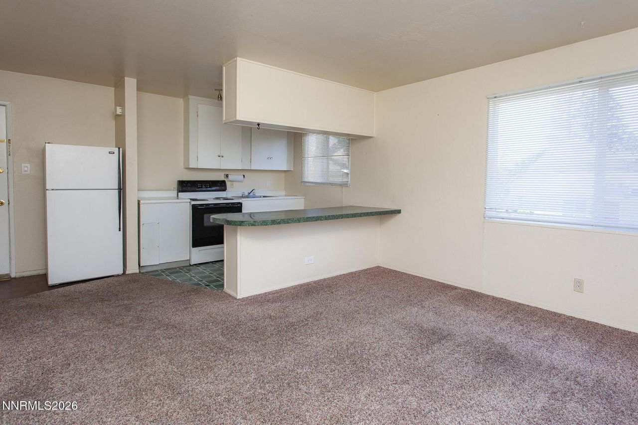 1060 Wilson Avenue, Reno, NV 89502 Photo
