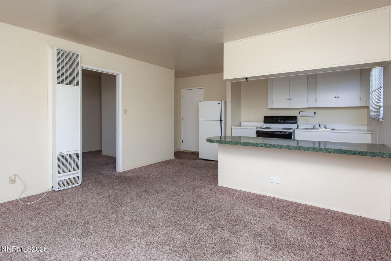 1060 Wilson Avenue, Reno, NV 89502 Photo