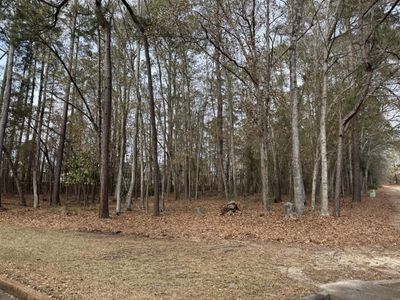 004 Fern Drive, Orangeburg, SC 29115