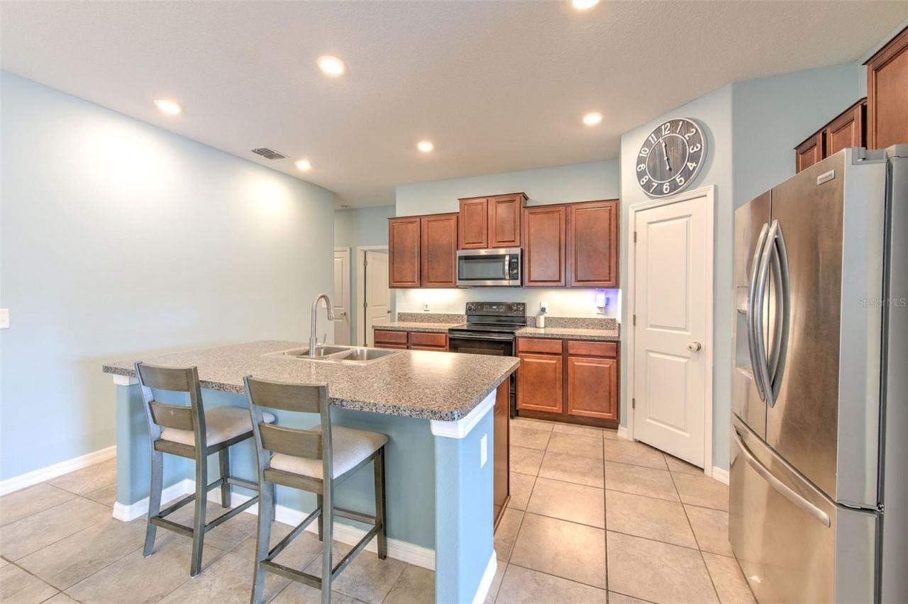 12619 Lemon Pepper Drive, Riverview, FL 33578 Photo