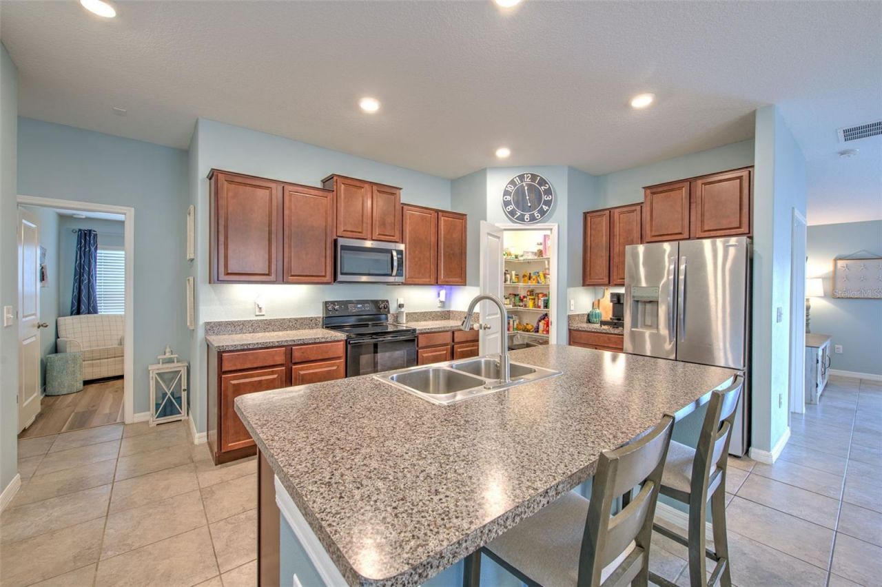 12619 Lemon Pepper Drive, Riverview, FL 33578 Photo