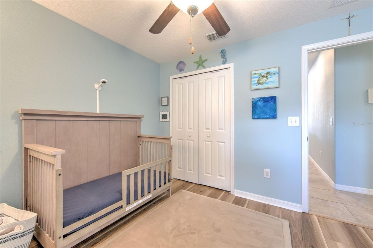 12619 Lemon Pepper Drive, Riverview, FL 33578 Photo