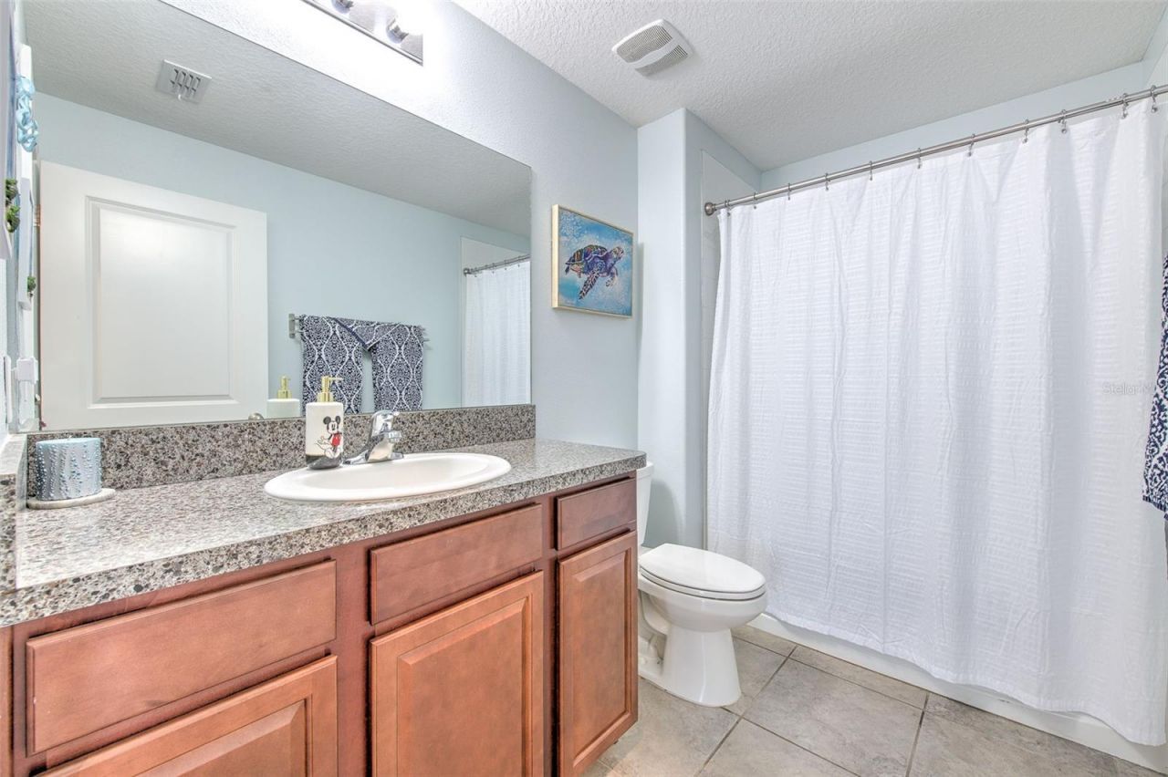 12619 Lemon Pepper Drive, Riverview, FL 33578 Photo