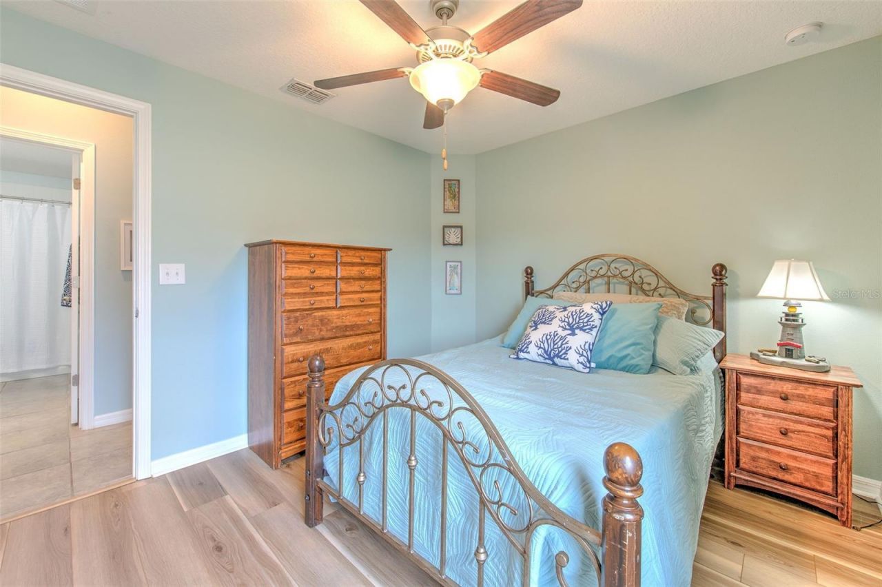 12619 Lemon Pepper Drive, Riverview, FL 33578 Photo