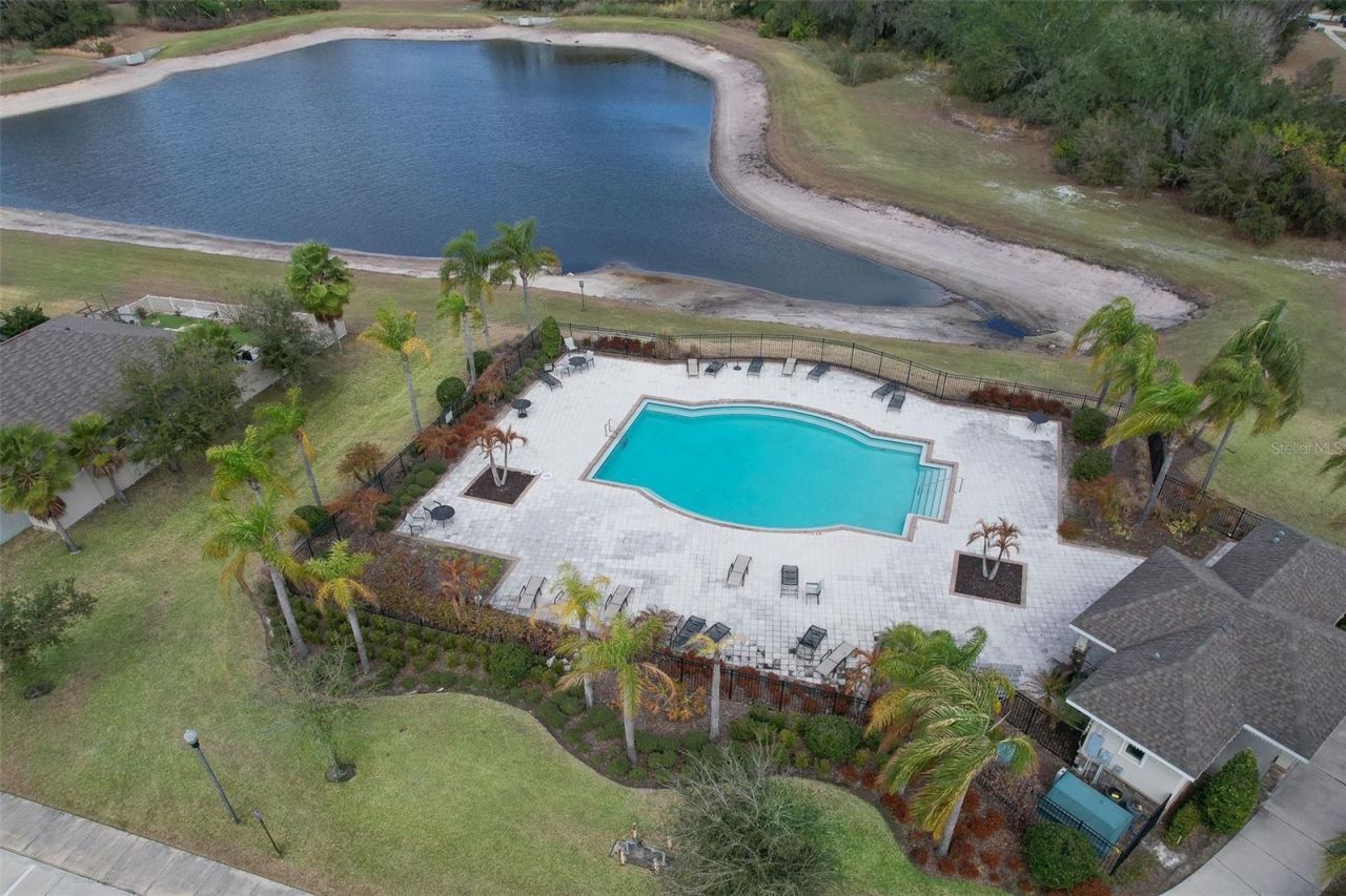 12619 Lemon Pepper Drive, Riverview, FL 33578 Photo