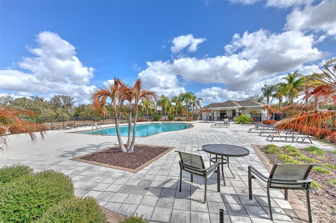 12619 Lemon Pepper Drive, Riverview, FL 33578 Photo