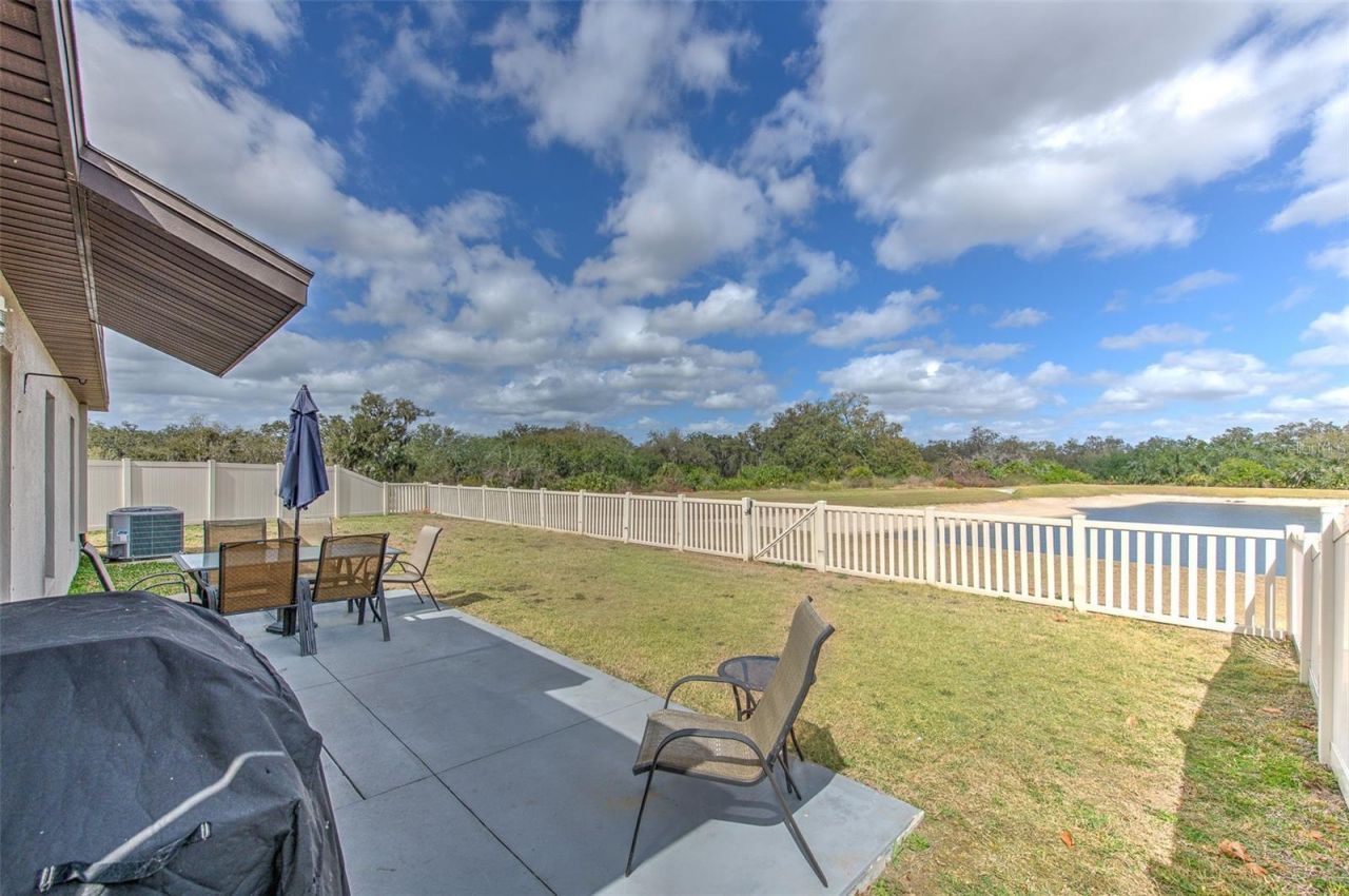 12619 Lemon Pepper Drive, Riverview, FL 33578 Photo