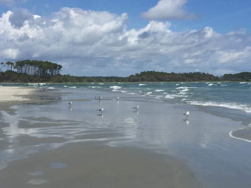 6309 N Ocean Blvd.  Photo 45