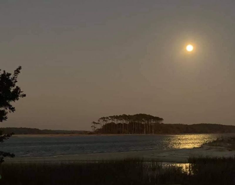 6309 N Ocean Blvd.  Photo 46