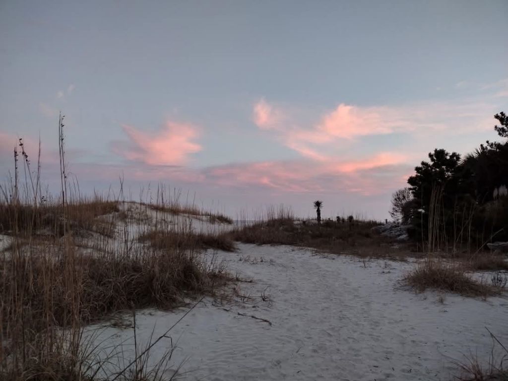 6309 N Ocean Blvd.  Photo 47