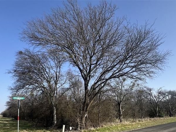 13700 Gholson Road, Gholson, TX 76705