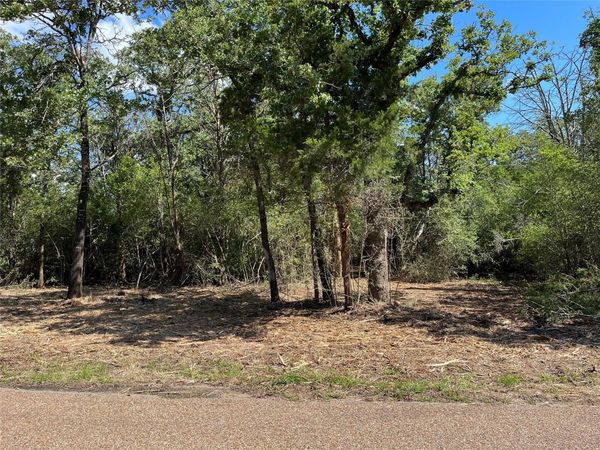 TBD Old Lockhart RD, Plum, TX 78952