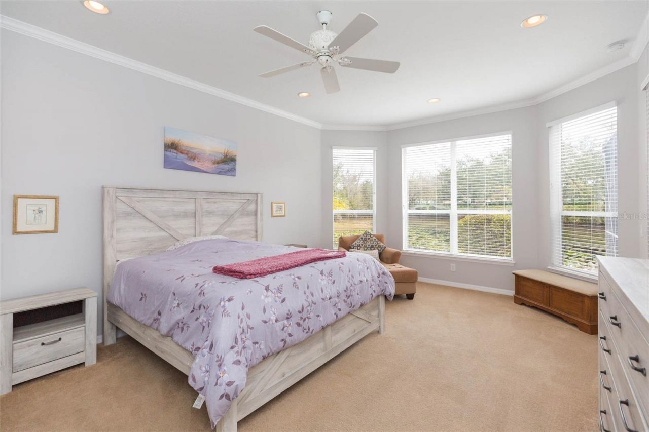 7051 Derwent Glen Circle, Land O Lakes, FL 34637 Photo