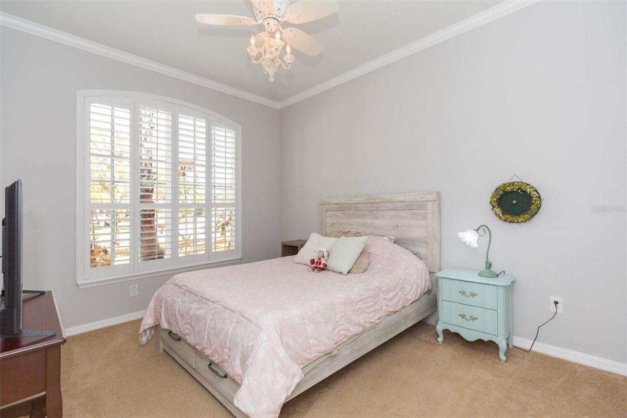 7051 Derwent Glen Circle, Land O Lakes, FL 34637 Photo