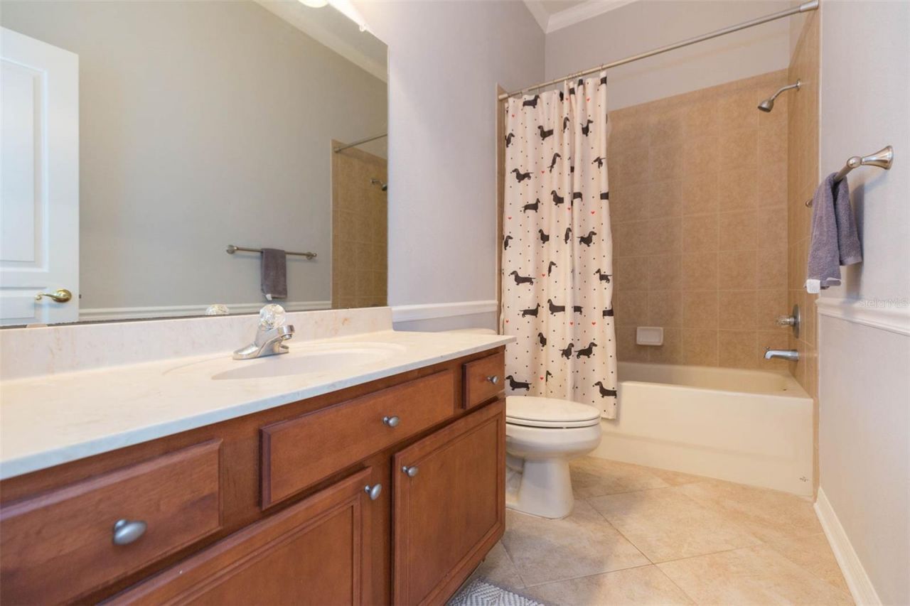 7051 Derwent Glen Circle, Land O Lakes, FL 34637 Photo