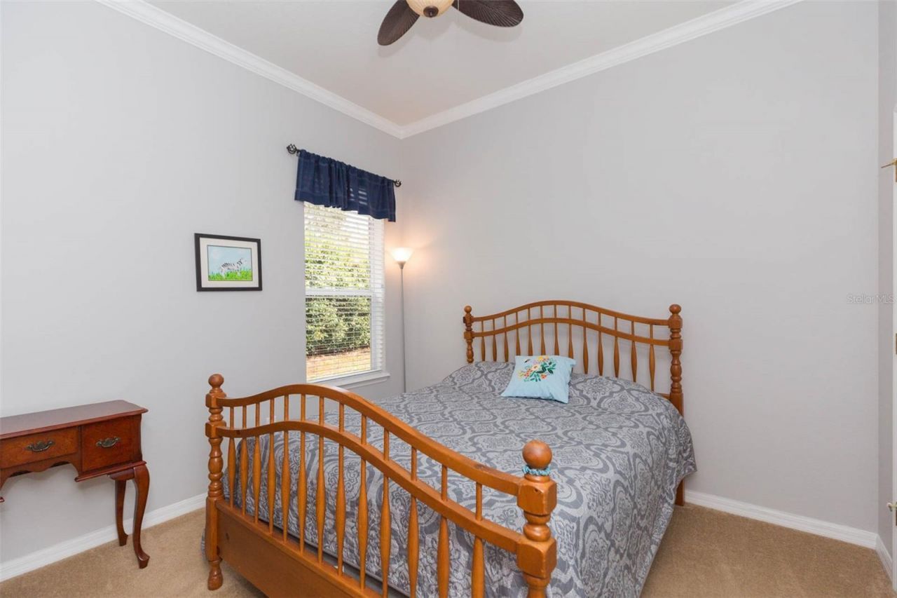 7051 Derwent Glen Circle, Land O Lakes, FL 34637 Photo