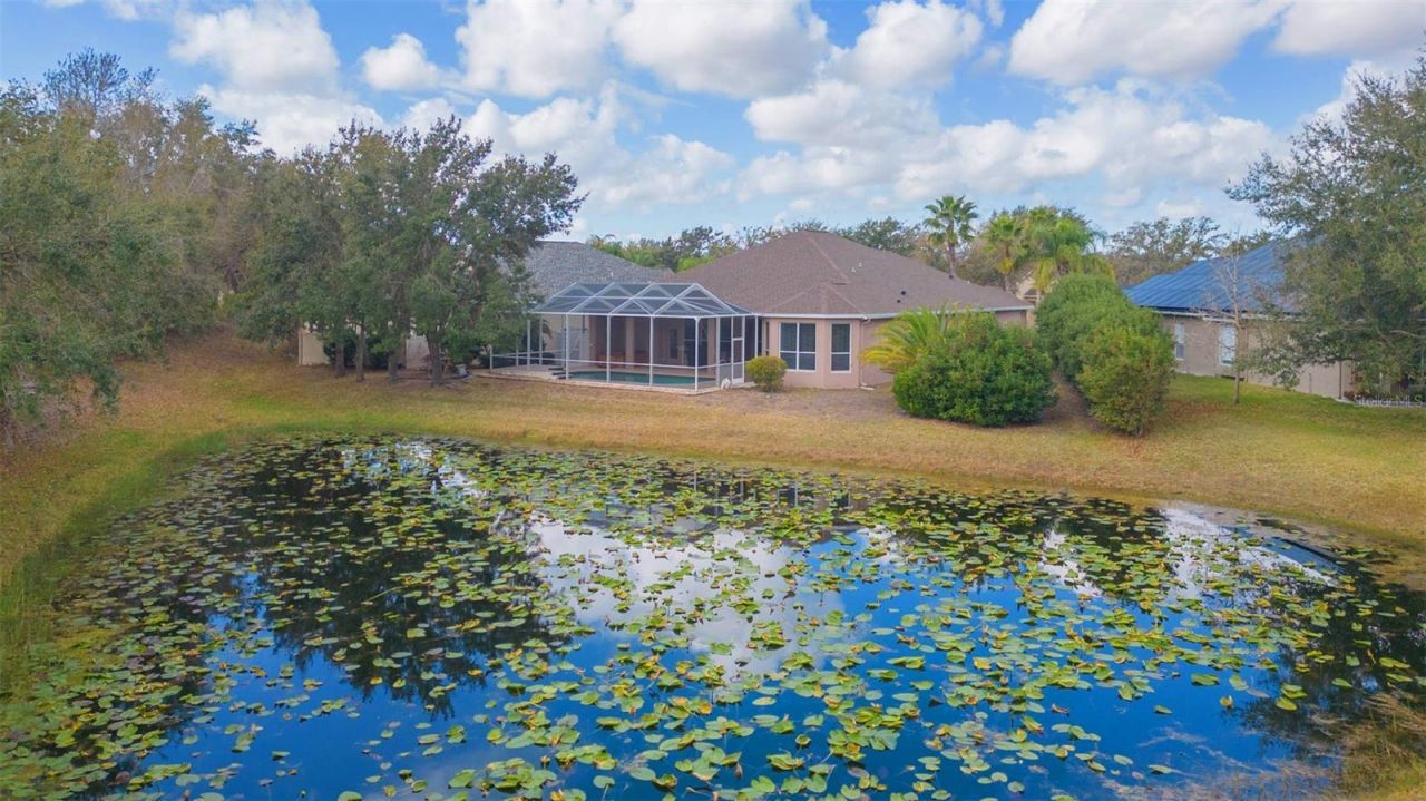 7051 Derwent Glen Circle, Land O Lakes, FL 34637 Photo