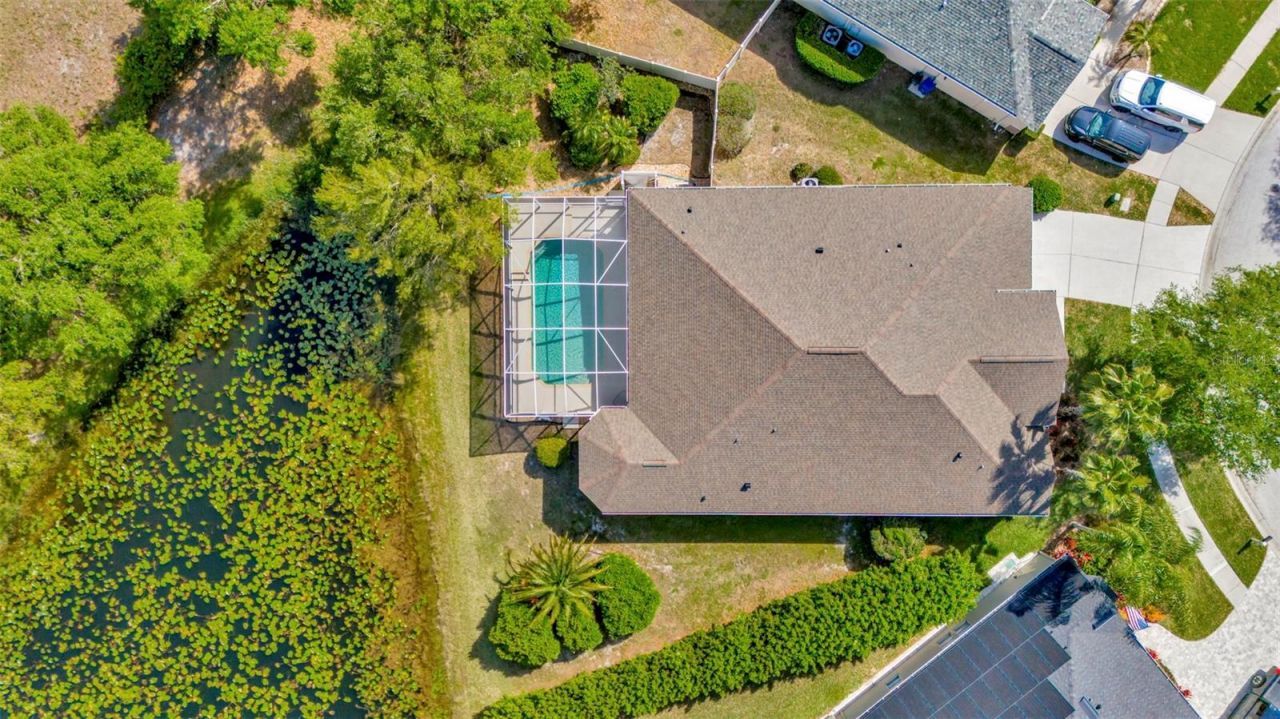 7051 Derwent Glen Circle, Land O Lakes, FL 34637 Photo