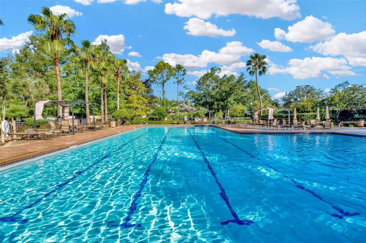 7051 Derwent Glen Circle, Land O Lakes, FL 34637 Photo