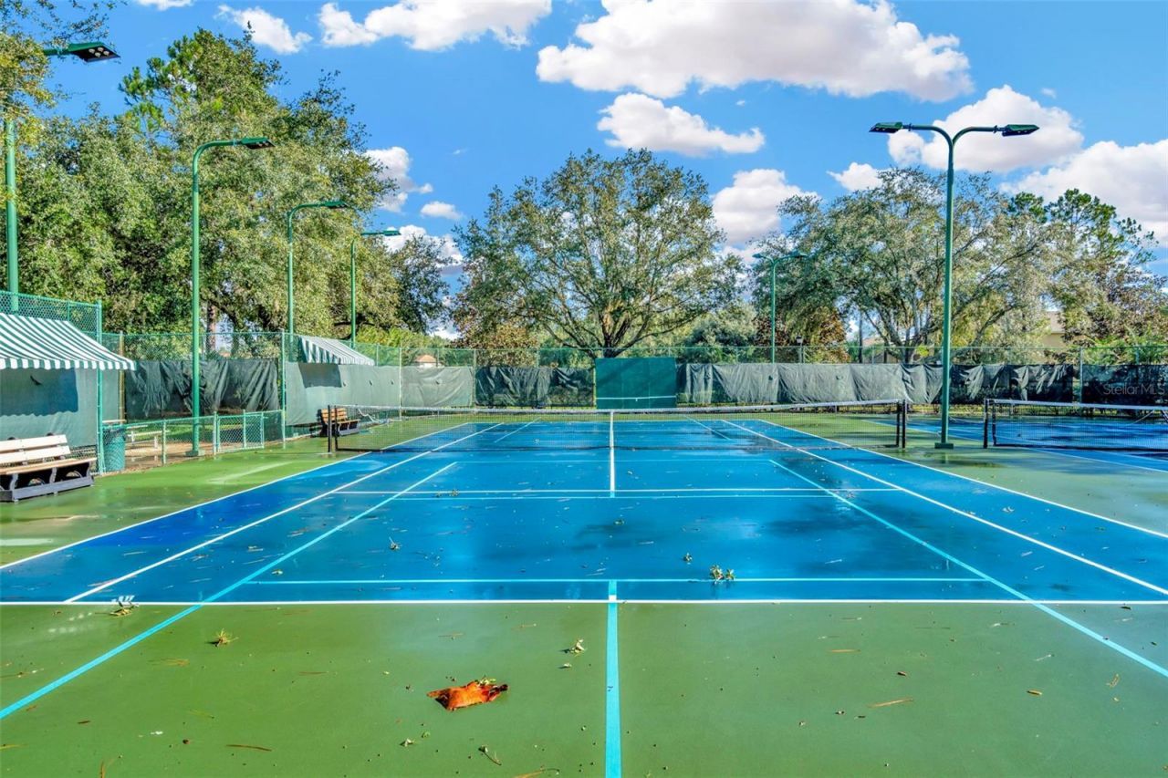 7051 Derwent Glen Circle, Land O Lakes, FL 34637 Photo