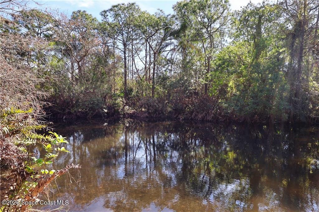 12385 79th Street, Fellsmere, FL 32948 Photo