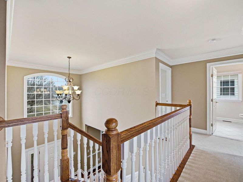 7069 Maynard Place, New Albany, OH 43054 Photo 60