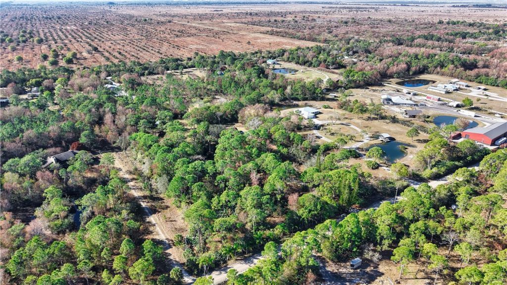 12385 79th Street, Fellsmere, FL 32948 Photo