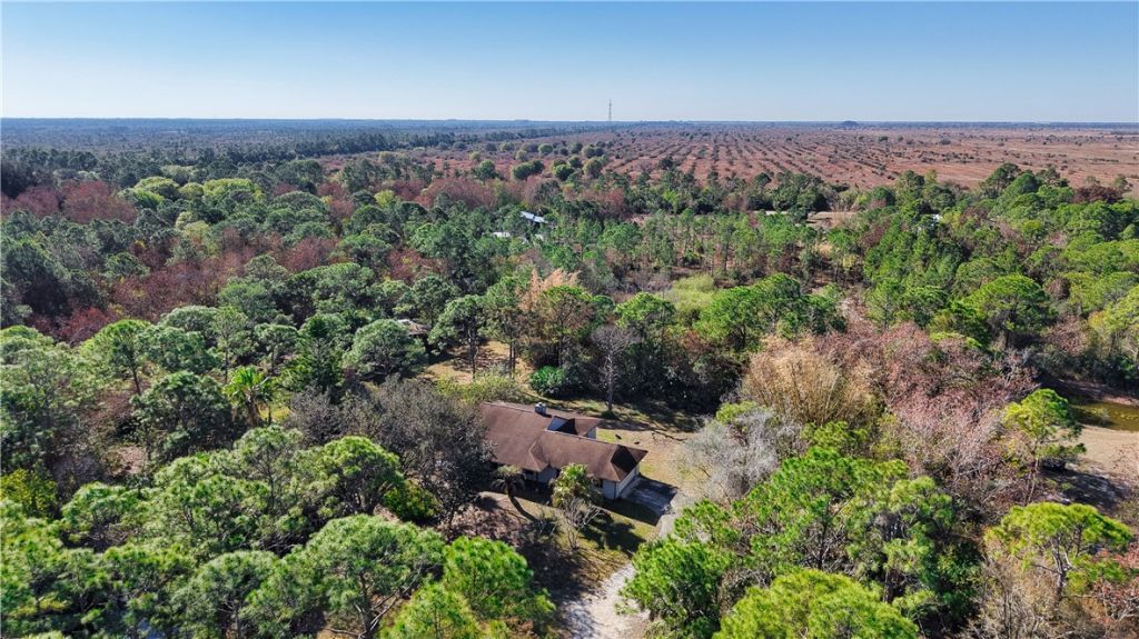 12385 79th Street, Fellsmere, FL 32948 Photo