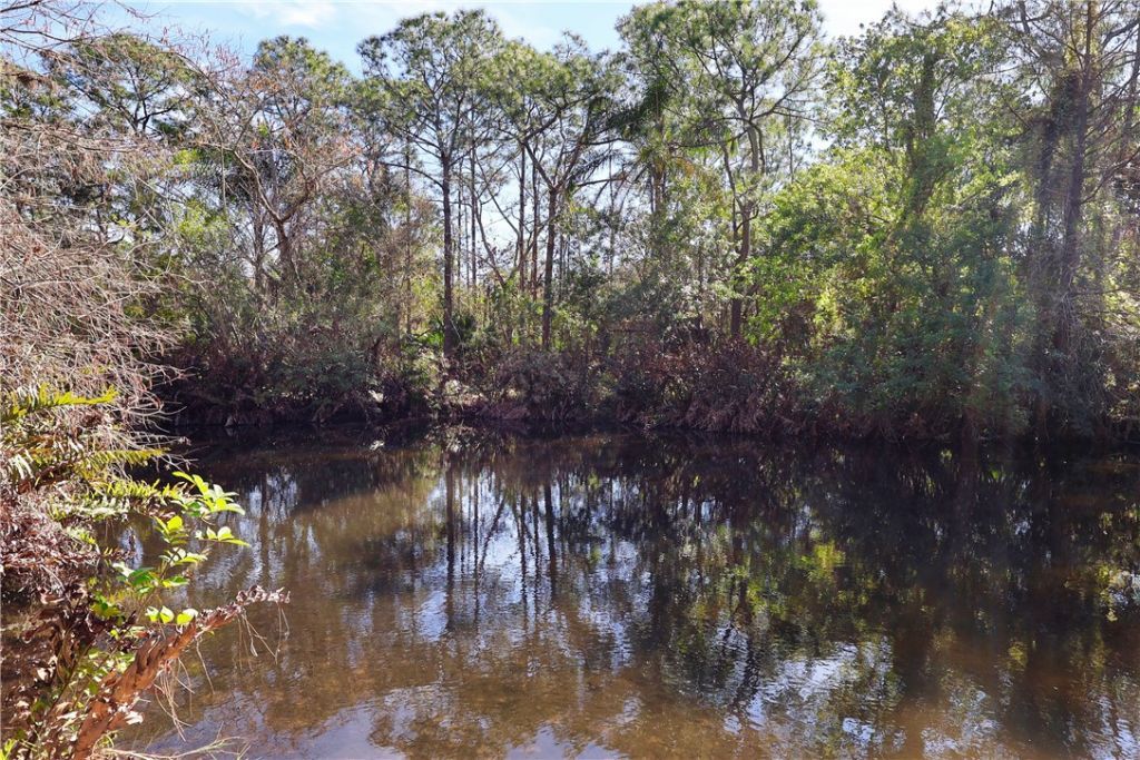 12385 79th Street, Fellsmere, FL 32948 Photo