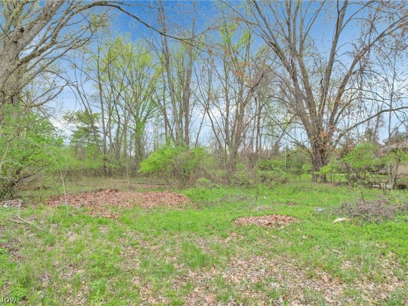 2423 Stelzer Road, Columbus, OH 43219 Photo 3