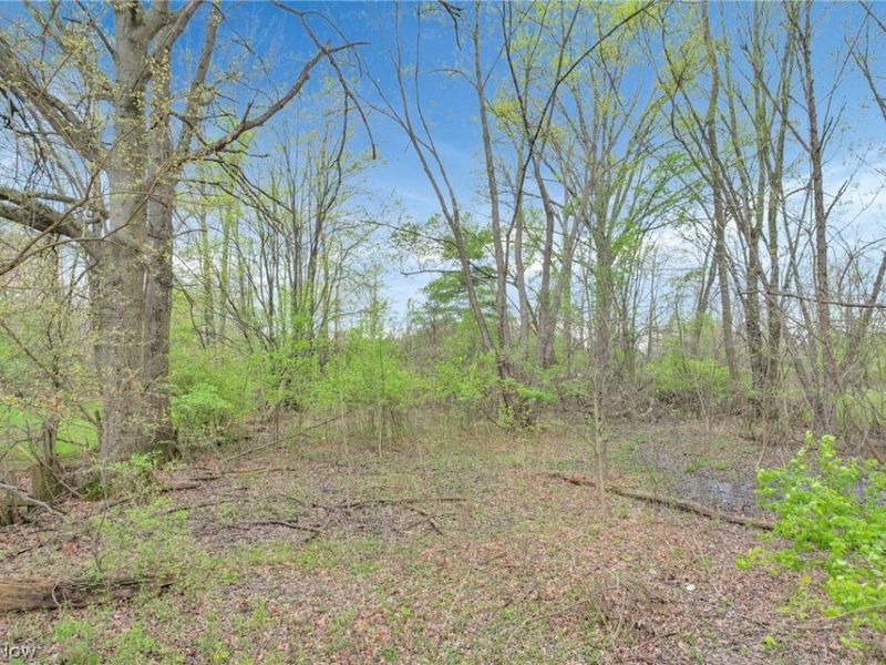 2423 Stelzer Road, Columbus, OH 43219 Photo 5