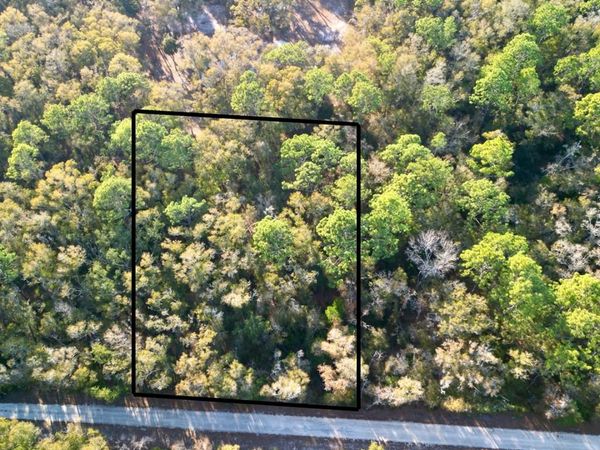 NW 57th Ln, Chiefland, FL 32626