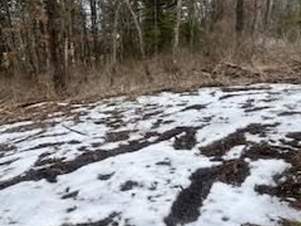 Pedley Street, BECKLEY, WV 25801