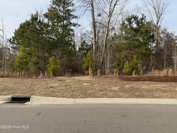 3422 Belle Meade Way NE, Leland, NC 28451