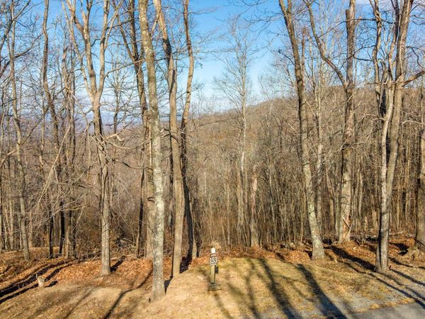 Lot 153 Withrow Landing, Caldwell, WV 24925
