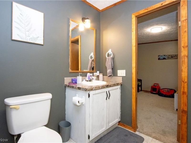 643 County Road 40, Sullivan, OH 44880 Photo 35