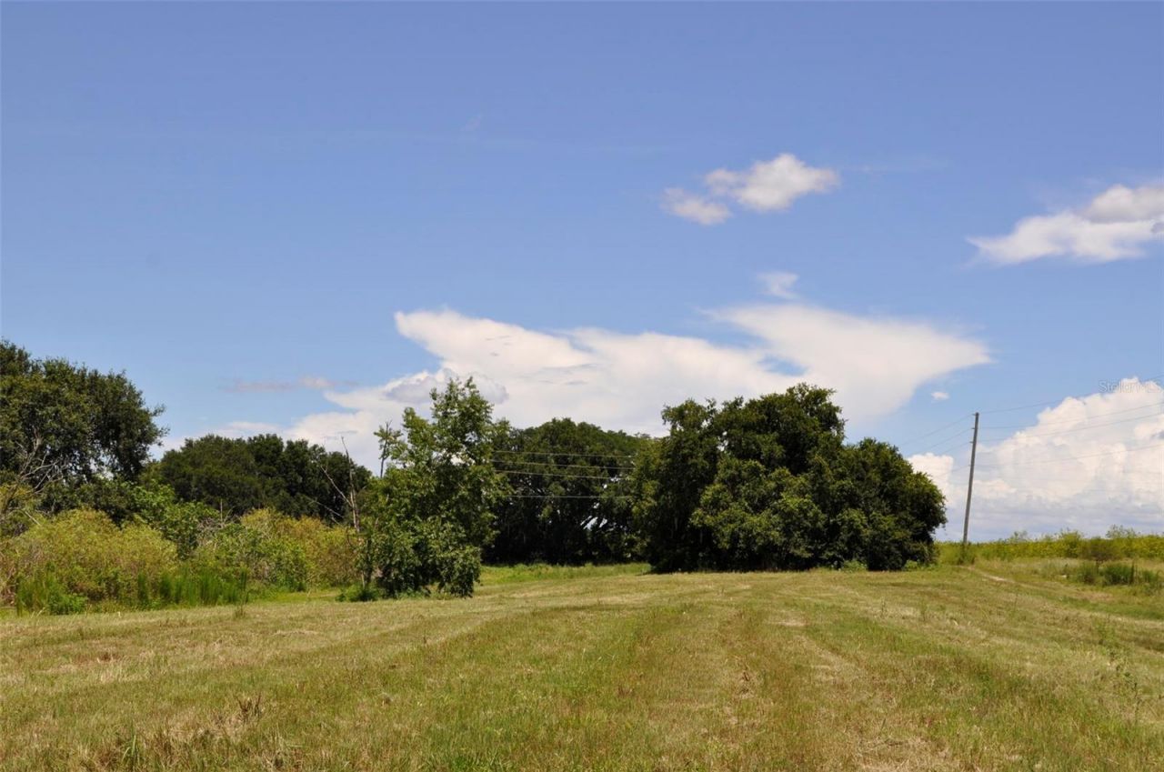 Lake Marie Drive, Haines City, FL 33844 Photo