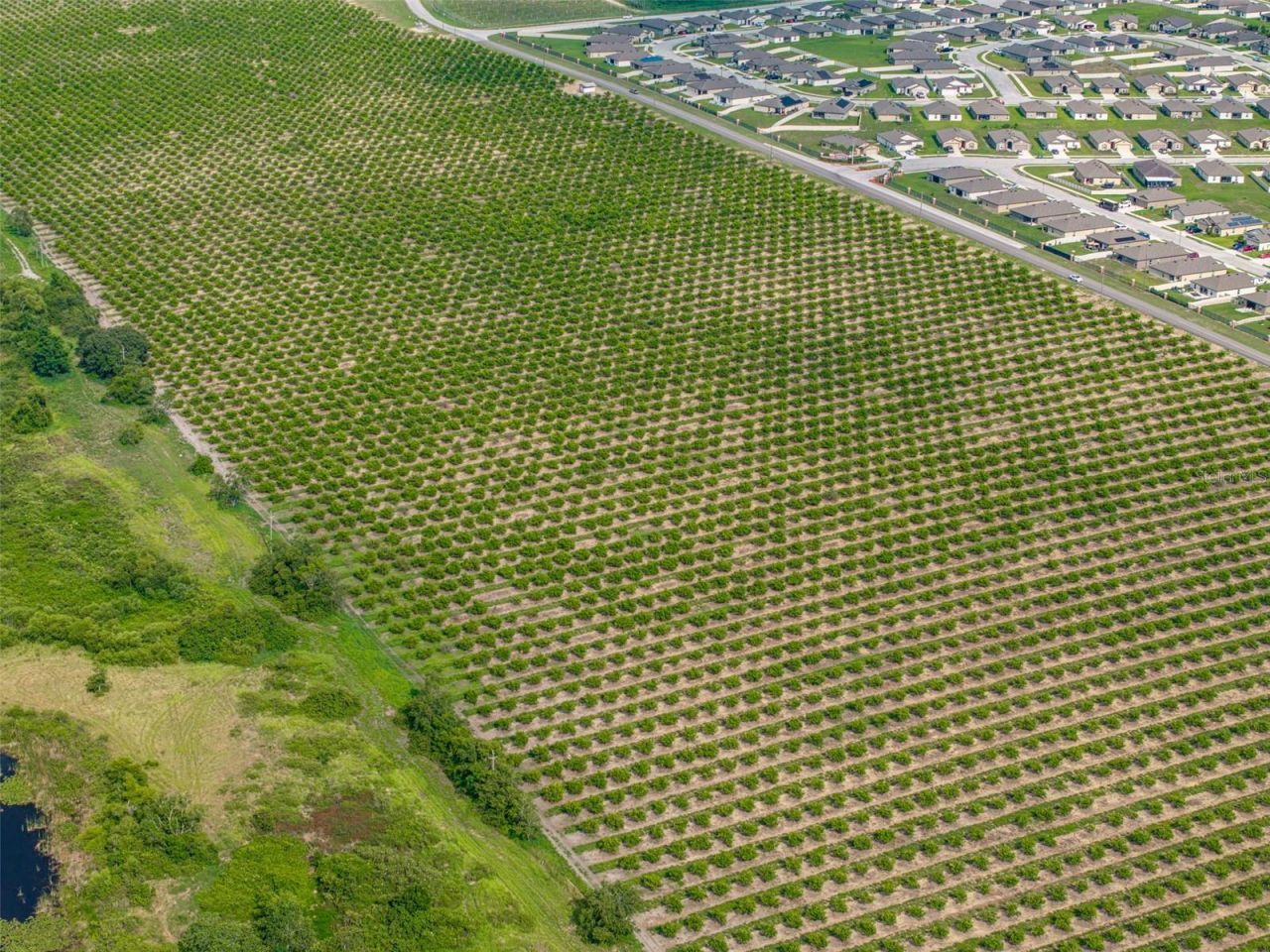 Lake Marie Drive, Haines City, FL 33844 Photo