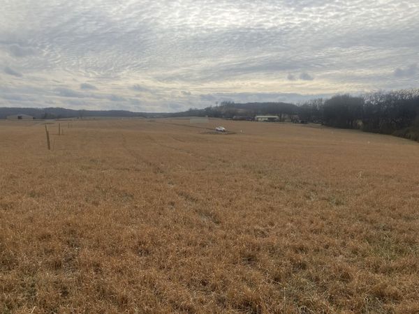 8 Southport RD, Mount Pleasant, TN 38474