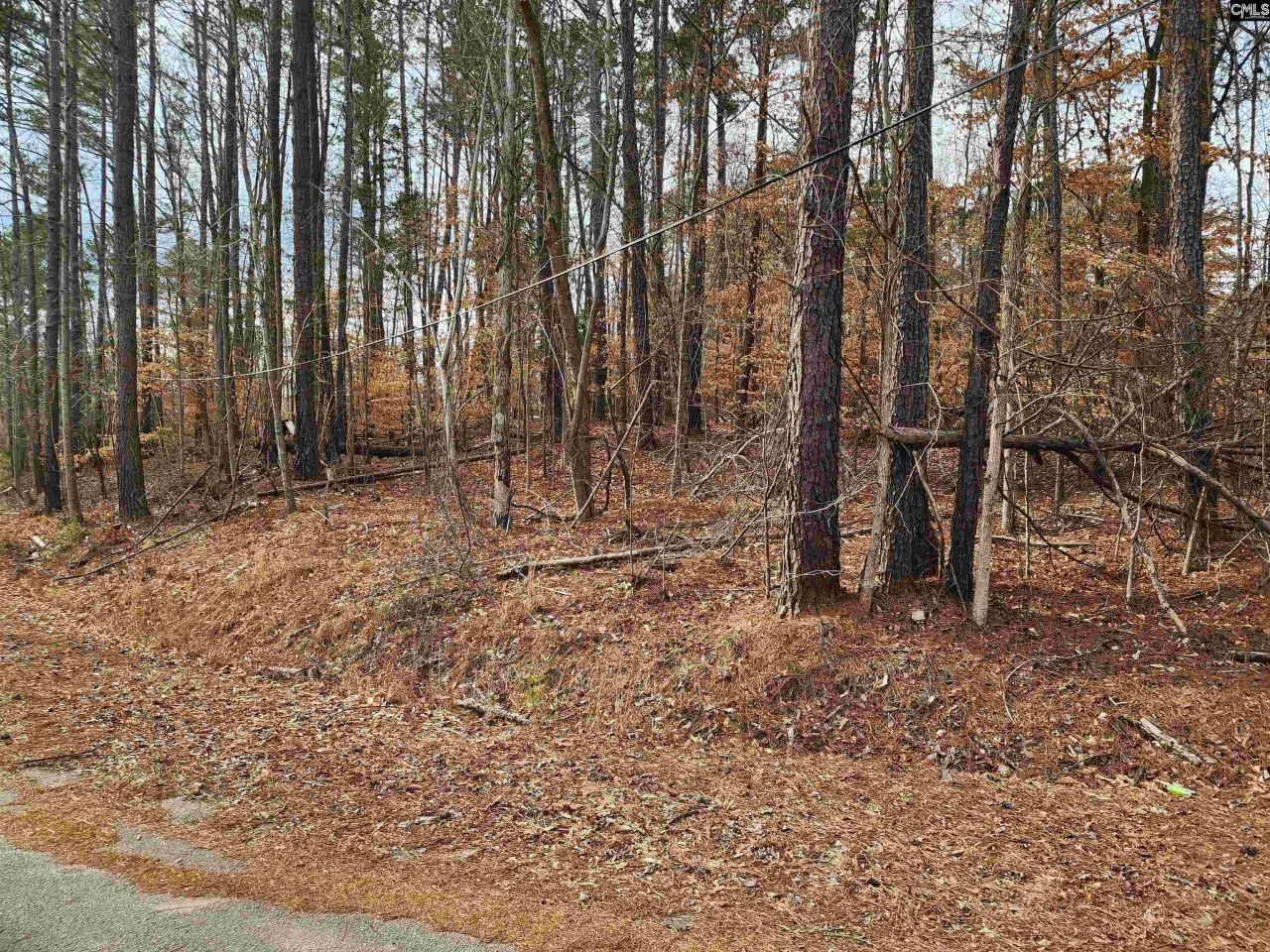 Lot 66 Kingswood Drive  Photo 4