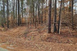 Lot 66 Kingswood Drive  photo 4