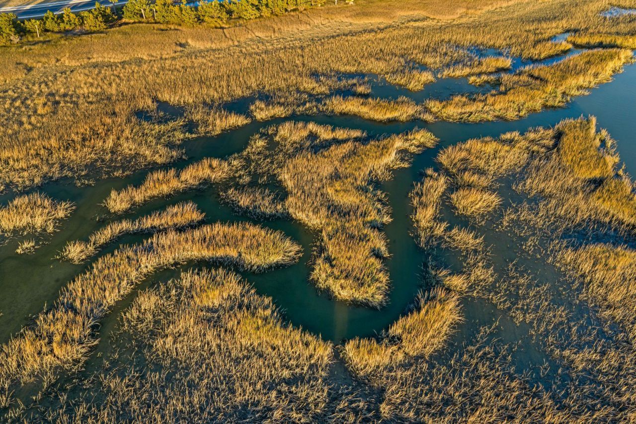 1077 Ship Builder Street Photo 15