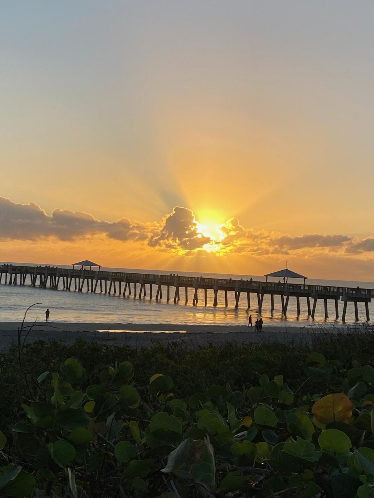 111 Shore Court, Unit 305-c, North Palm Beach, FL 33408 Photo