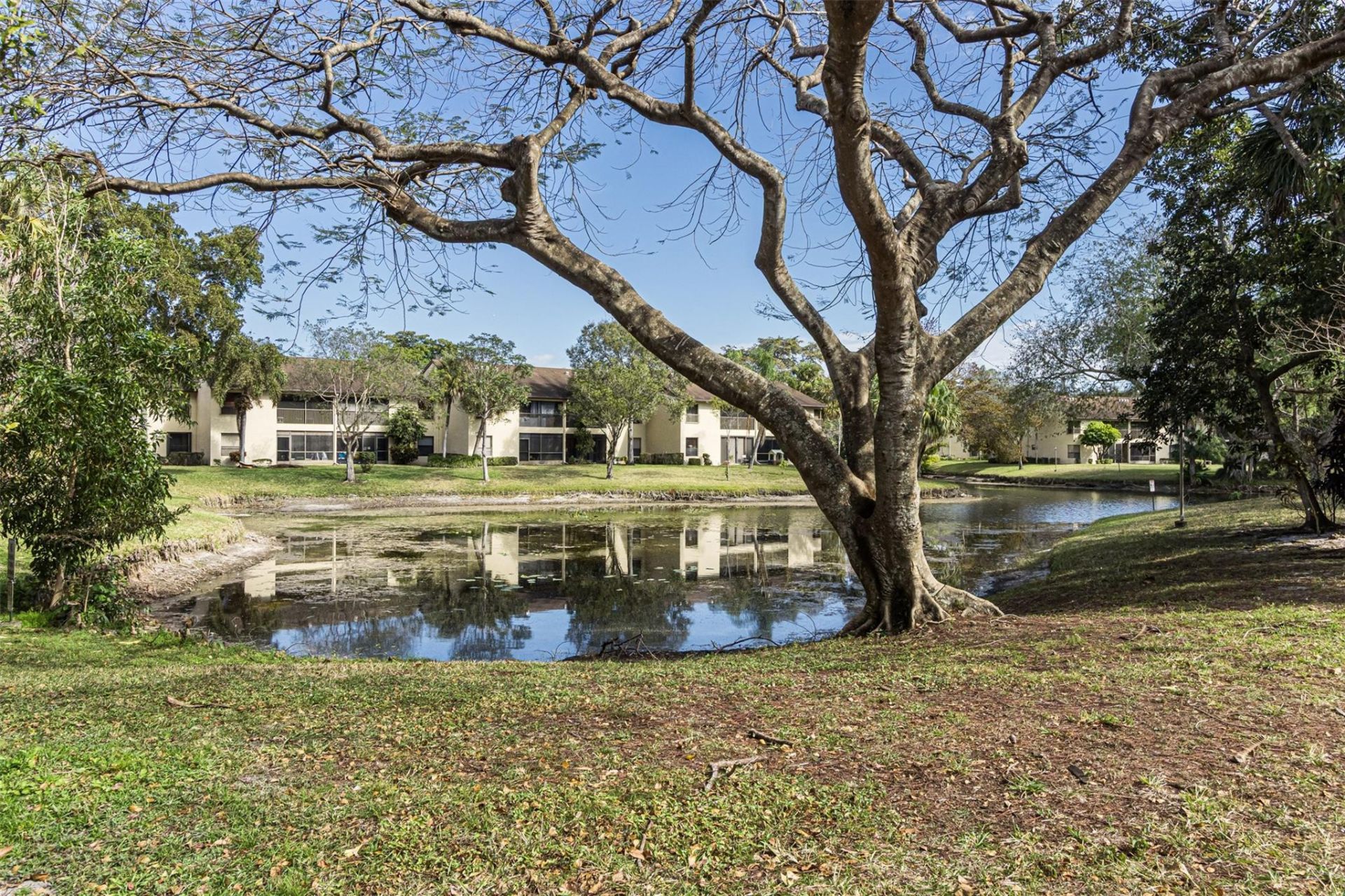 3183 S Carambola Circle, Unit 2392, Coconut Creek, FL 33066 Photo