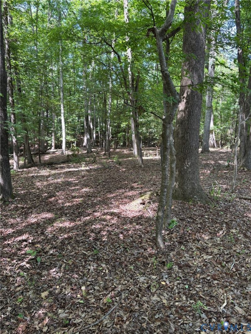 3430 E Old Gun, Midlothian, VA 23113 Main Photo